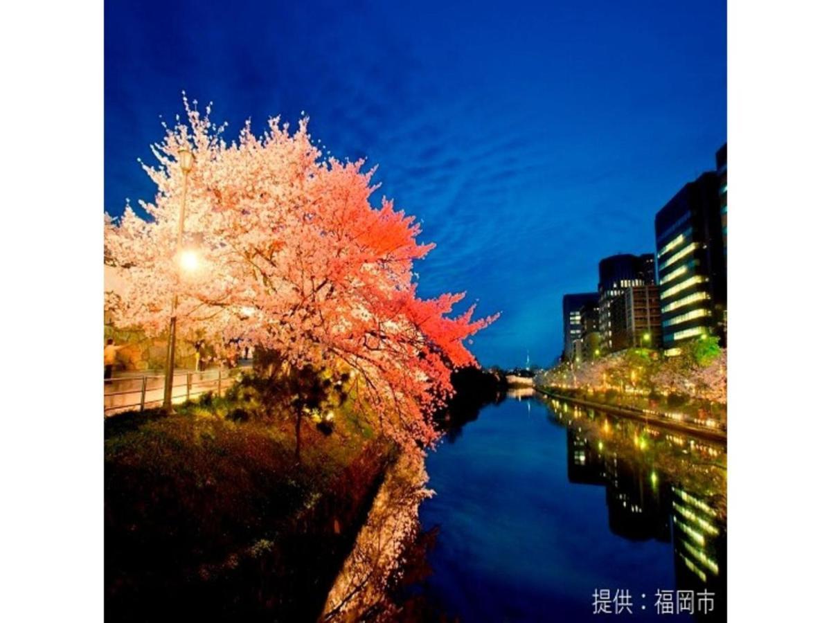 Court Hotel Fukuoka Tenjin - Vacation Stay 42334V エクステリア 写真